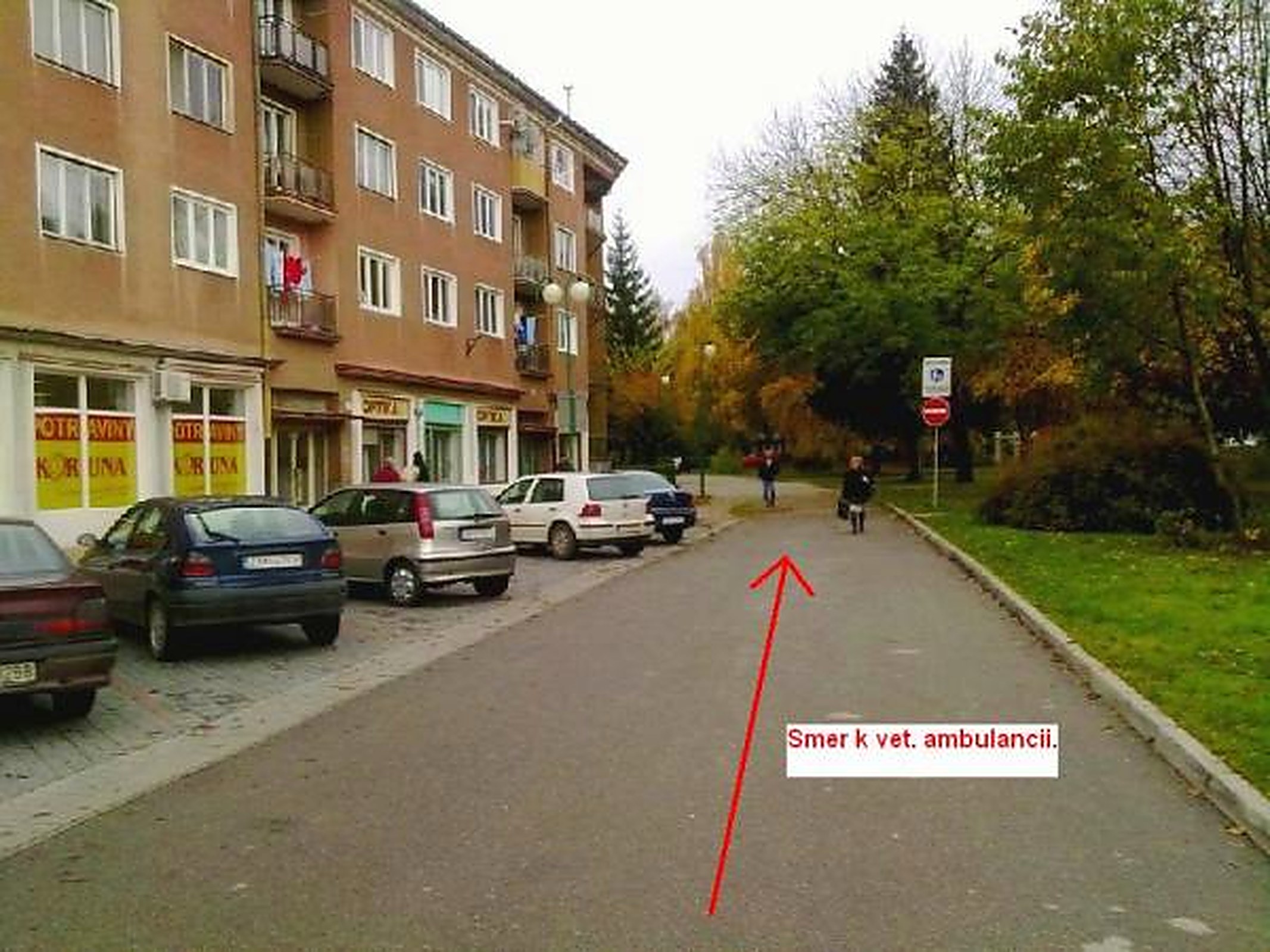 Prostredie okolo veterinárnej ambulancie Lány