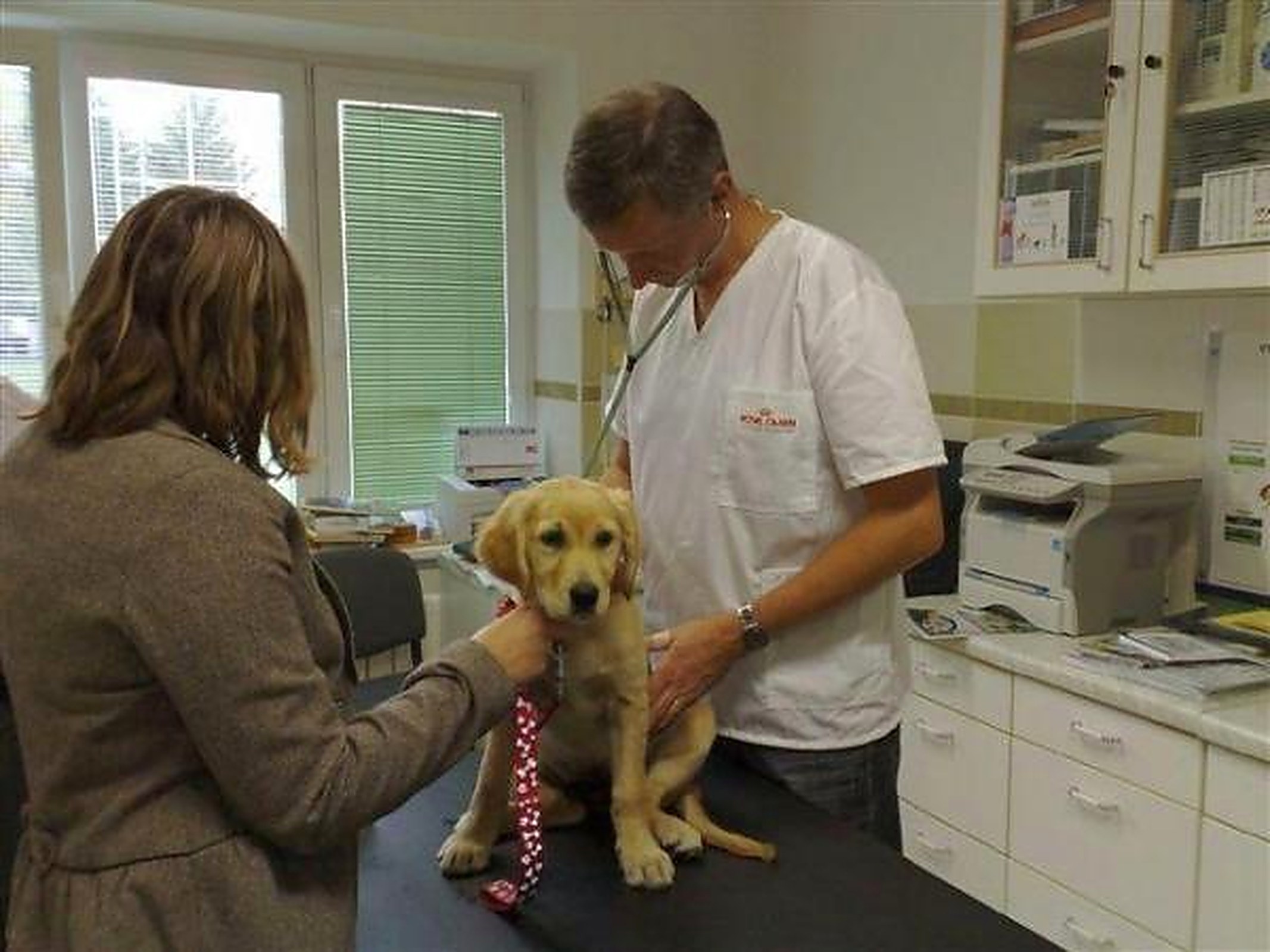 Klinické vyšetrenie psa veterinárnym lekárom